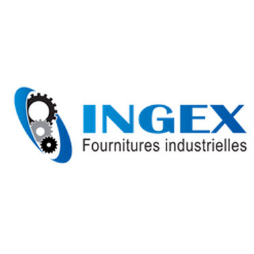 Ingex logo resultat