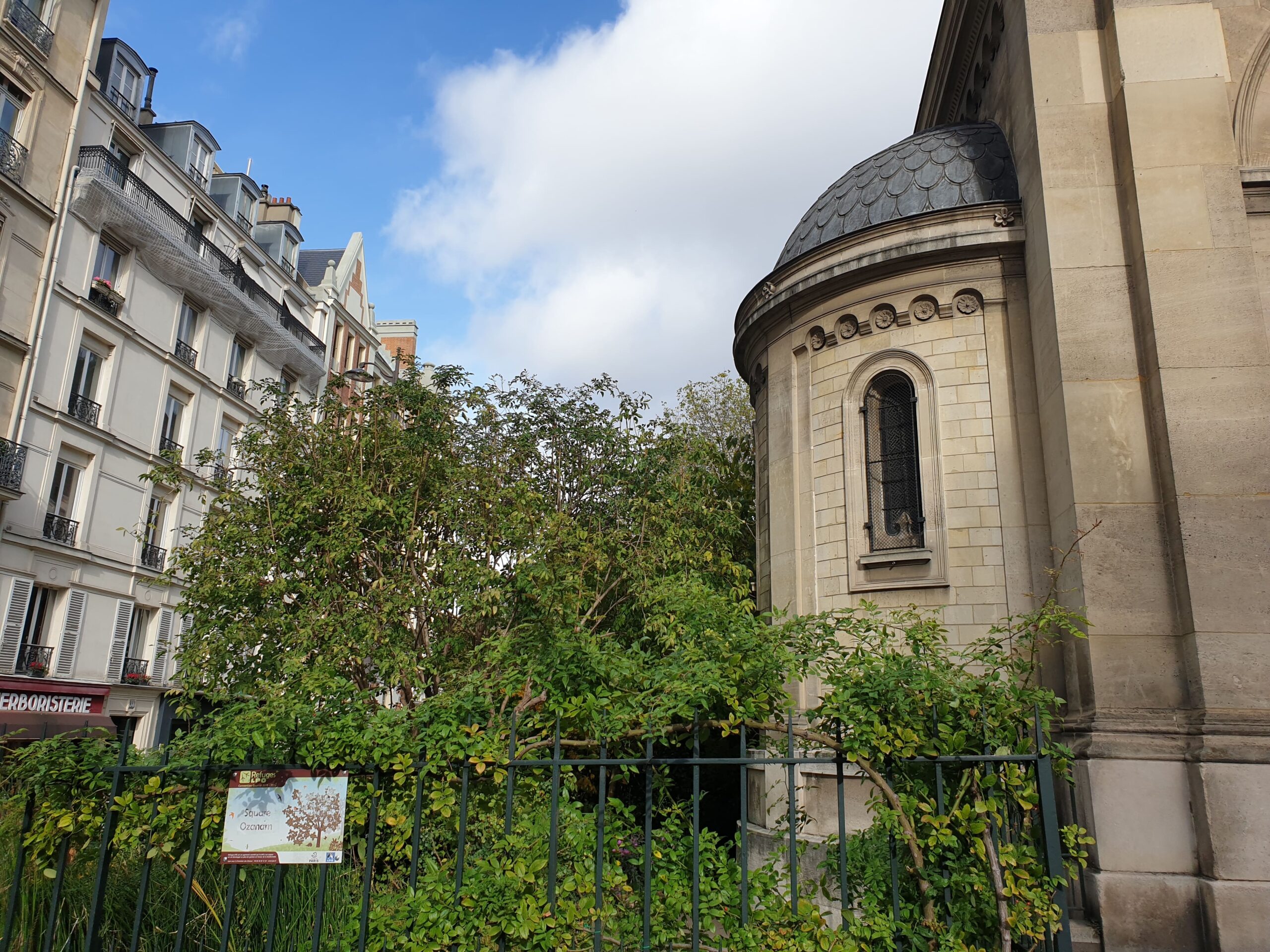 Photo Paris rue du Montparnasse min