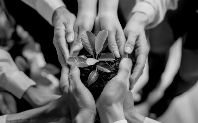 Photo PPFC formation eco responsable